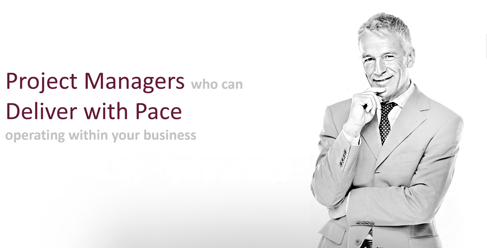 Project Managers